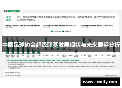 中国足球协会超级联赛发展现状与未来展望分析