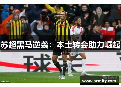 苏超黑马逆袭：本土转会助力崛起