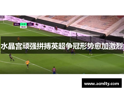 水晶宫顽强拼搏英超争冠形势愈加激烈